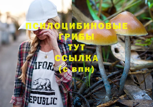 мескалин Баксан