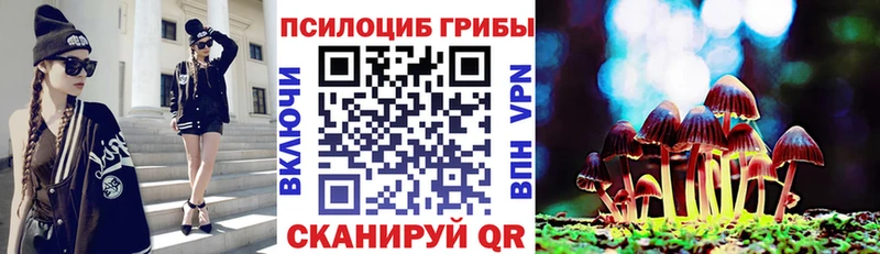 это официальный сайт  Богородицк  Псилоцибиновые грибы Cubensis  купить закладку 