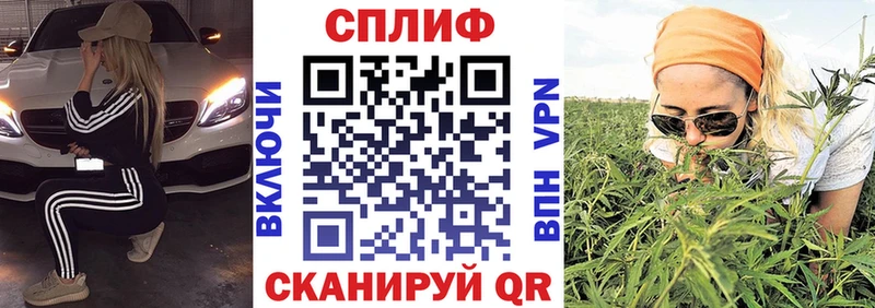 Бошки Шишки White Widow Богородицк